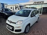 Fiat Panda Easy+ZAHNRIEMENNEU+KLIMA+ALLWETTER+DAB+4SI - Fiat Panda: 4.4