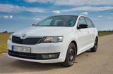 Skoda Rapid 1.4 TDI Green tec DSG Edition Edition - Skoda Rapid mit Diesel-Antrieb: Edition