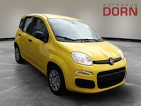 Fiat Panda - Vorschau Bild 4