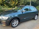 Audi Q3 1.4 TFSI ultra Sport Navi Panorama Alcantara 