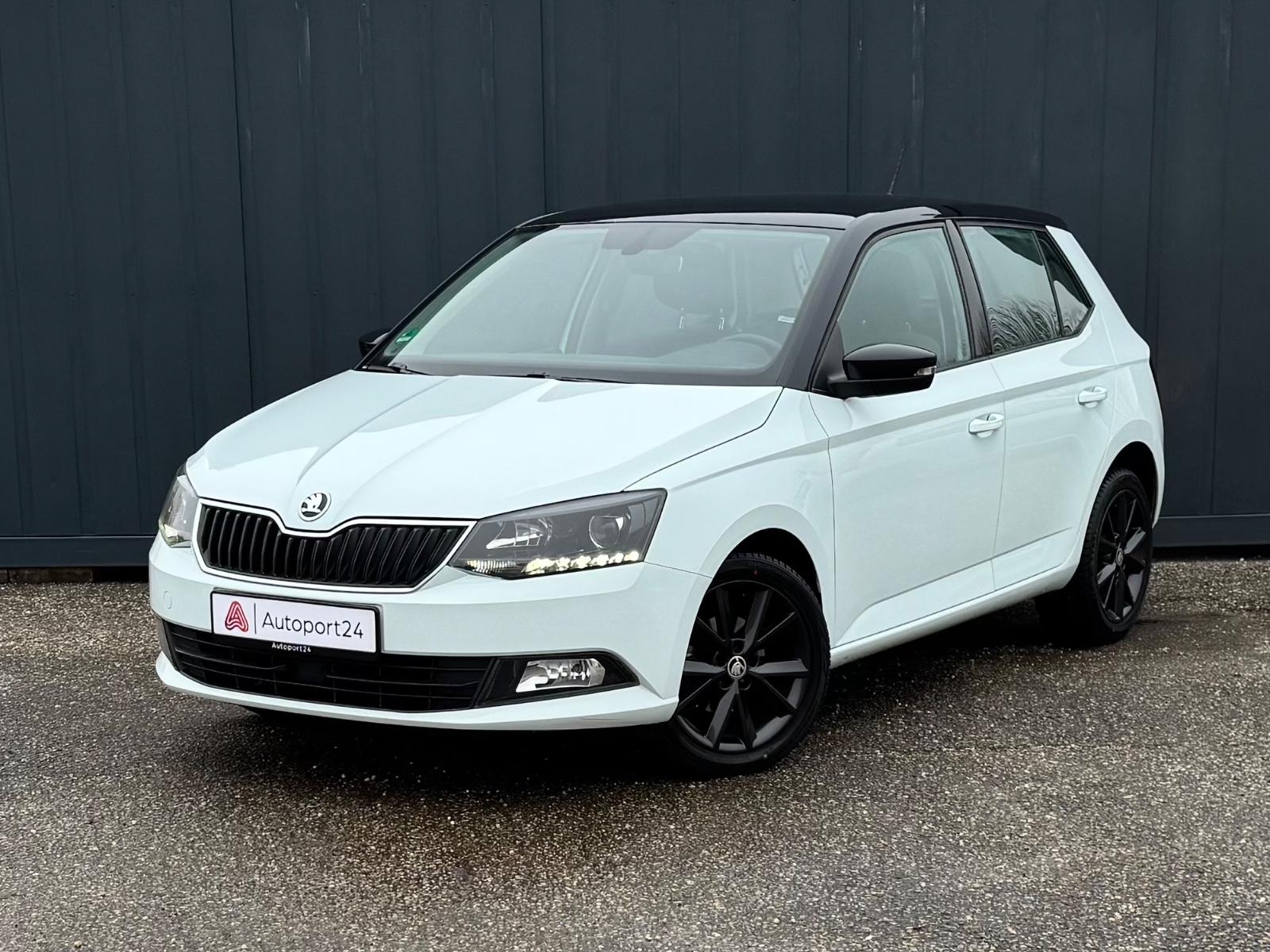 Skoda Fabia Ambition 1 Jahr Garantie
