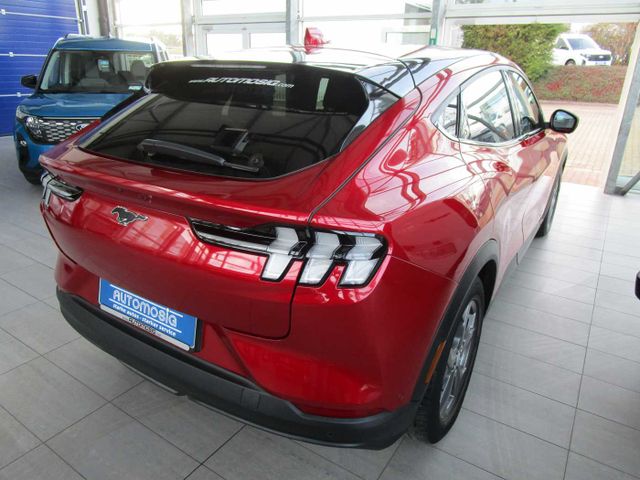 Mustang Mach-E Mach-E