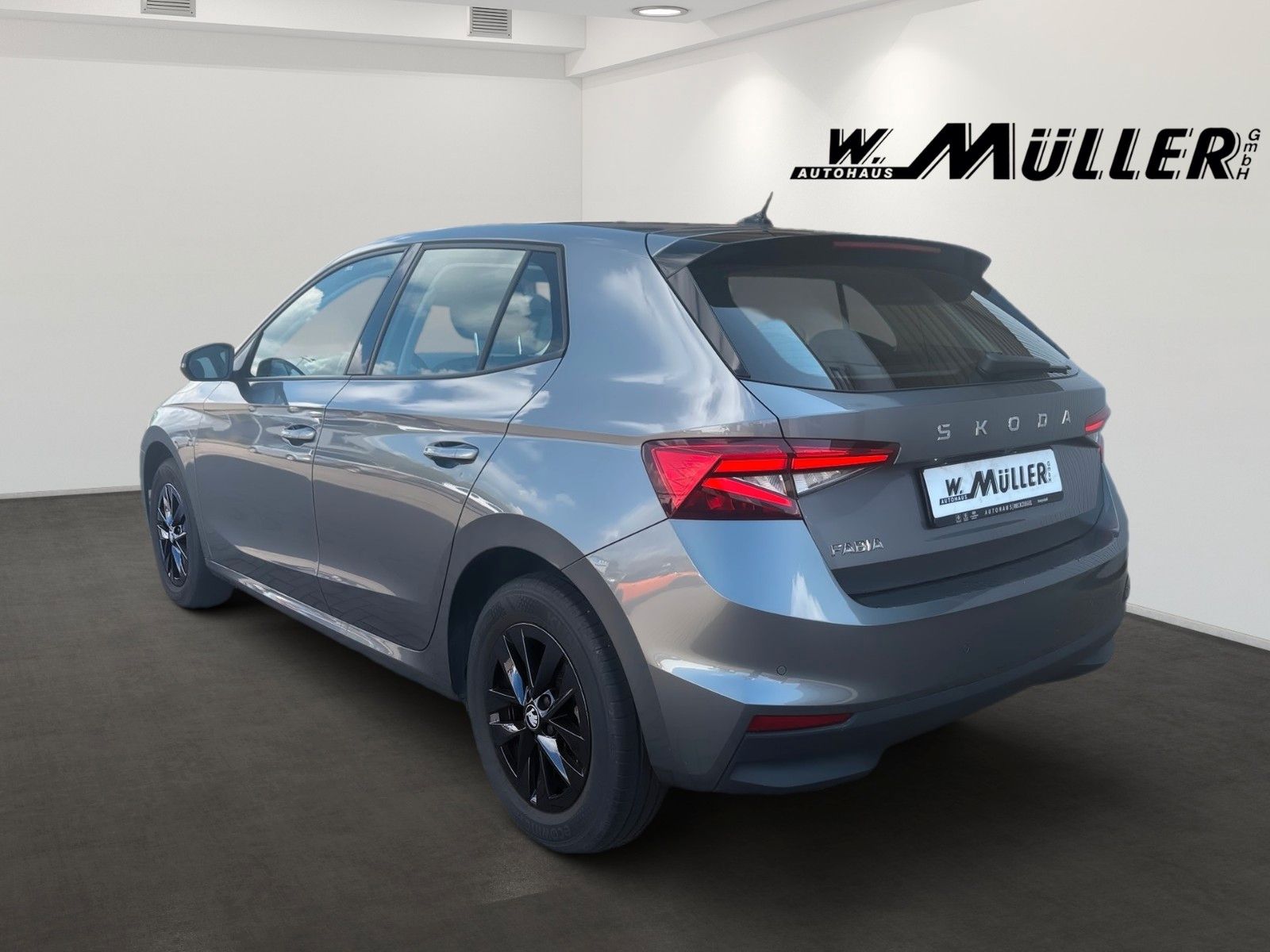 Fahrzeugabbildung SKODA Fabia Selection