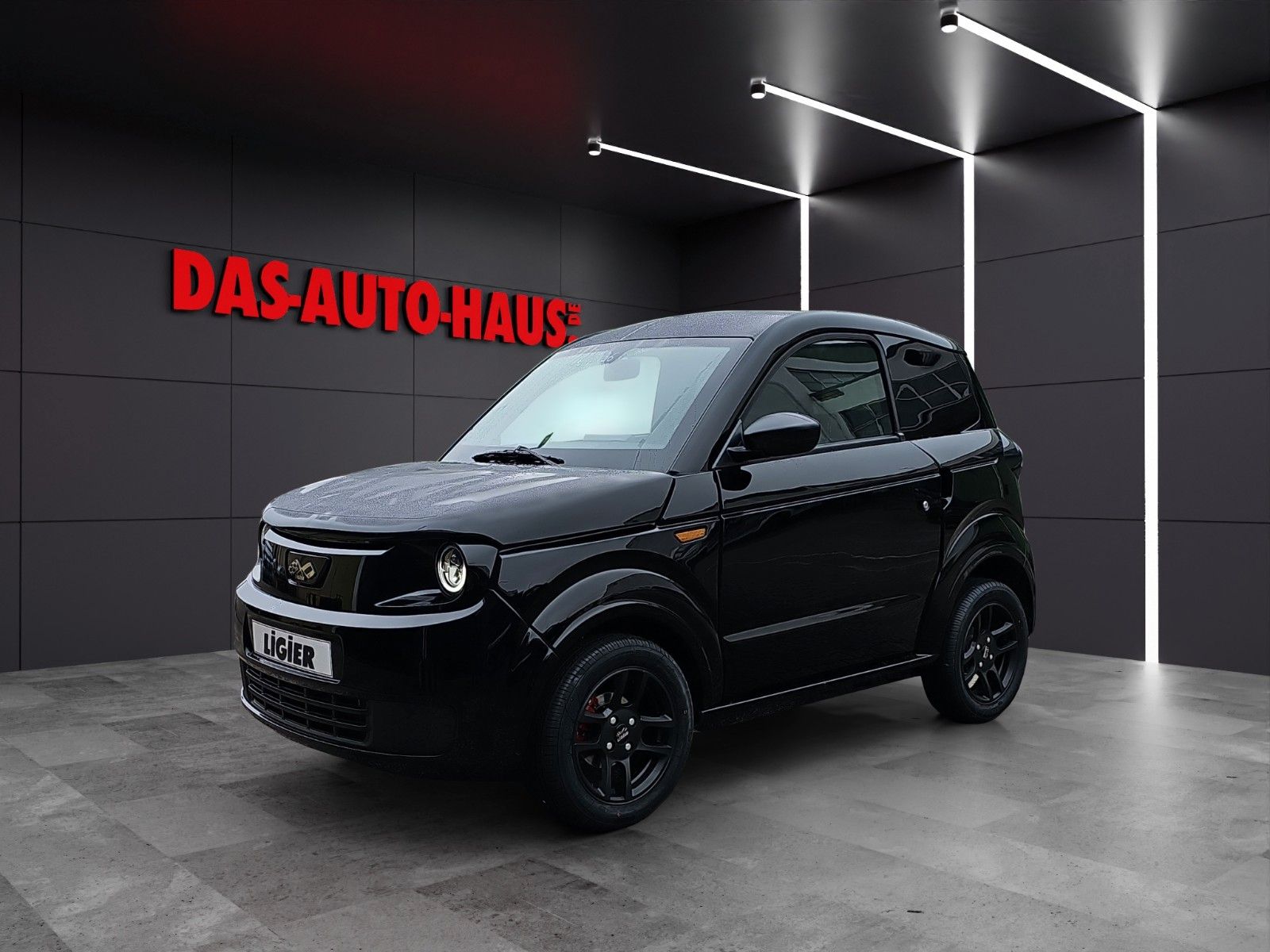 Ligier Myli Euro5+ Diesel I.DEAL Lager