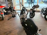 Harley-Davidson Softail Standard  - Offers