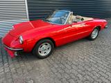 Alfa Romeo Spider 1,6 junior - Alfa Romeo Gebrauchtwagen von 1981