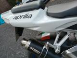 Aprilia RSV 1000 Tuono  - APRILIA TUONO