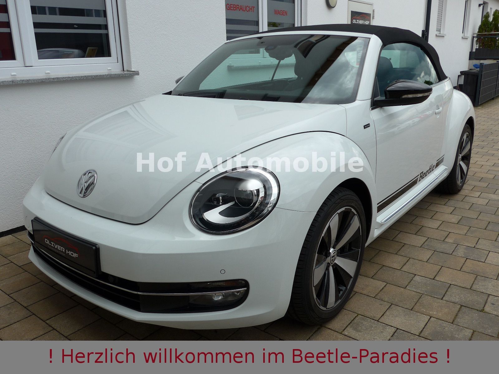 Volkswagen Beetle 1.2TSI Allstar Plus Xenon Leder Fender foto 7