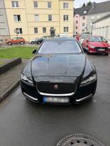 Jaguar XF 3.0D Luxury Sport - Jaguar XF in Essen