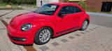 Volkswagen VW Beetle 1.4 TSI Sportline / STEUERKETTE NEU - Volkswagen: Sportline