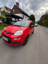 Fiat Panda More (bitte Anzeige genau lesen!) - Fiat Panda: More