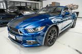 Ford Mustang Basis Fastback PREMIUM SPUR/ACC VOLL - Ford Mustang: Fastback