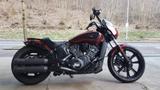 Indian Scout Rogue - Offers