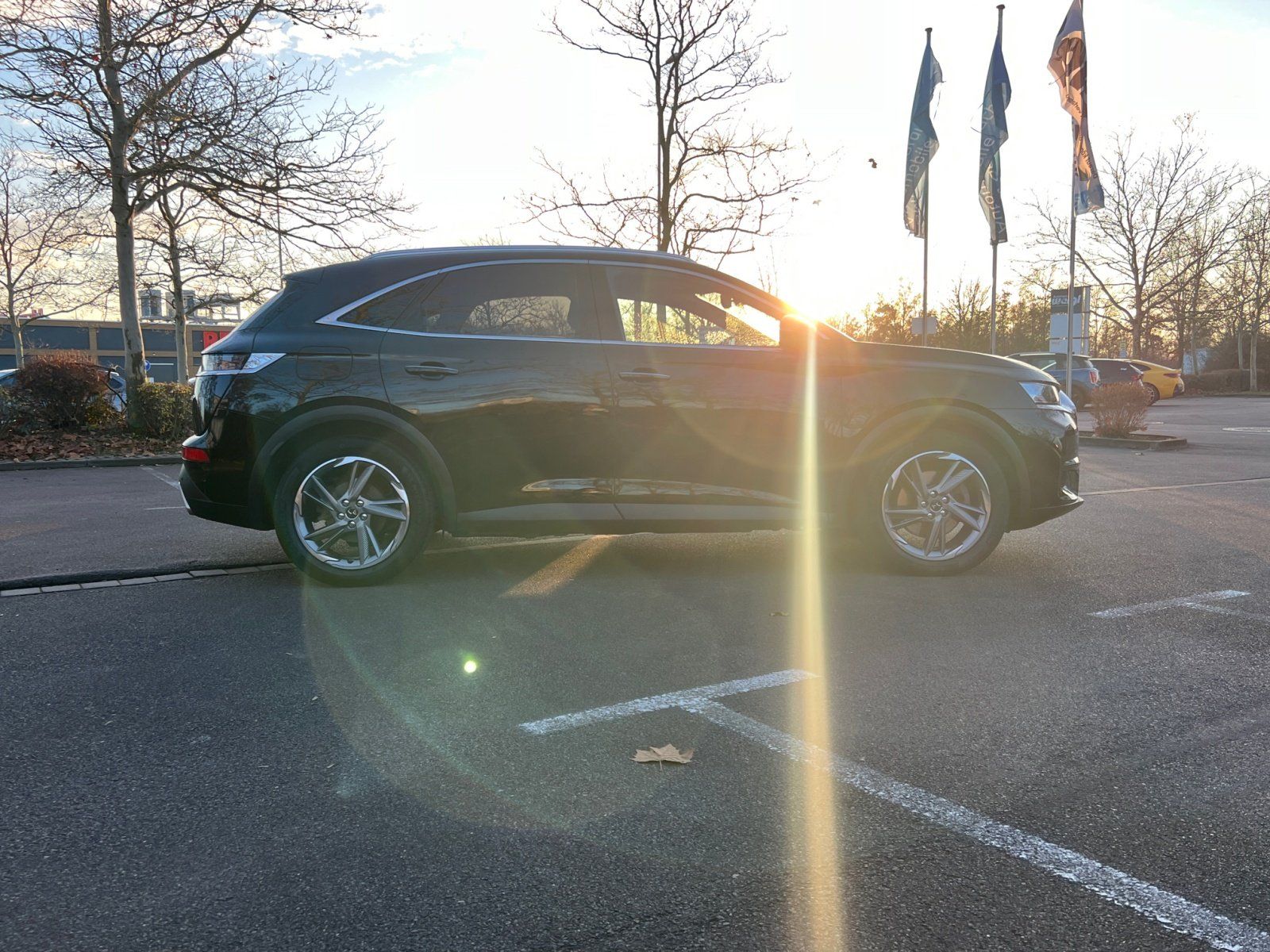 Fahrzeugabbildung DS Automobiles DS7 Crossback E-Tense 4x4 300 Anhängerkupplung