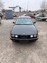BMW E34 518i  Diamantschwarz  Vollleder ... - BMW 518 mit Benzin-Antrieb
