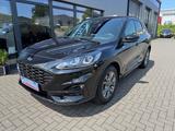 Ford Kuga 1.5 EcoBoost ST-Line X*NAVI*ACC*LED* - Ford: Ecoboost