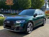 Audi SQ5 3.0 TFSI tiptronic quattro - - Audi SQ5 Gebrauchtwagen in Mülheim (Ruhr)