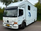 Mercedes-Benz Atego 817 4 Pferde Transporter LKW - Mercedes-Benz 817