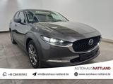 Mazda CX-30 Selection  HuD Matrix Navi AHK DAB 1.Hd. - Mazda CX-30 aus 2019
