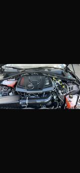 Alfa Romeo Giulia 2.0 Turbo 16V 206kW AT8-Q4 Veloce Veloce - Alfa Romeo Gebrauchtwagen in Mannheim