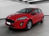 Ford Fiesta 5p 1.1 Plus Gpl 75cv - Ford Fiesta mit LPG-Antrieb