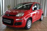 Fiat Panda Easy - Klimaanlage - aus 1. privater Hand - Fiat Panda: Rot