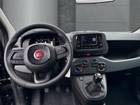 Fiat Panda - Vorschau Bild 10