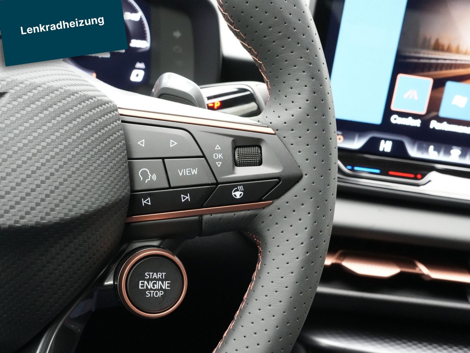Cupra Terramar - Bild 12