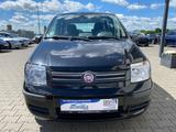 Fiat Panda 1.2 8V Dynamic/Klima - gebrauchte Fiat Panda aus dem Jahr 2007