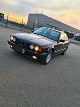 BMW 525i e34 - BMW 525: E34 525i