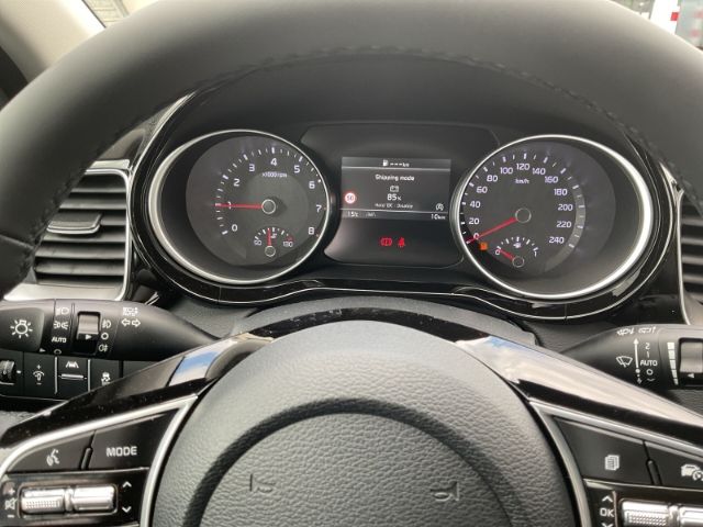 Fahrzeugabbildung Kia Ceed ULTIMATE EDITION 1.0 T-GDI  *STYLE-PAKET*