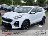 Kia Sportage 1.6 TGDI Vision 2WD|AHK|4xSHZ|RFK - gebrauchte Kia Sportage aus dem Jahr 2019