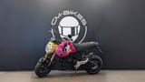 Honda MSX125 Grom Special Edition Umbau - HONDA POCKET BIKE
