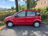 Fiat Panda - Fiat Panda Gebrauchtwagen in Braunschweig