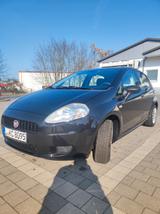 Fiat Punto 1.2 8V POP POP - Fiat Punto Gebrauchtwagen in Halle
