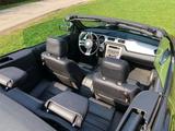 Ford Mustang GT 5.0 V8 Cabrio - Ford Mustang aus 2013: 5.0