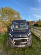 Bravia Swan 599 - Bravia Kastenwagen