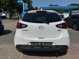 Mazda 2 Lim. Kizoku Kamera SHZ Tempomat ALU - Mazda in Oldenburg