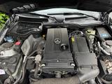 Mercedes-Benz SLK 200 (R171) - TüV 07/2027 - AirScarf  - Mercedes-Benz: Slk R171