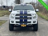 Ford F 150 USA F150 Shelby - Ford: Usa