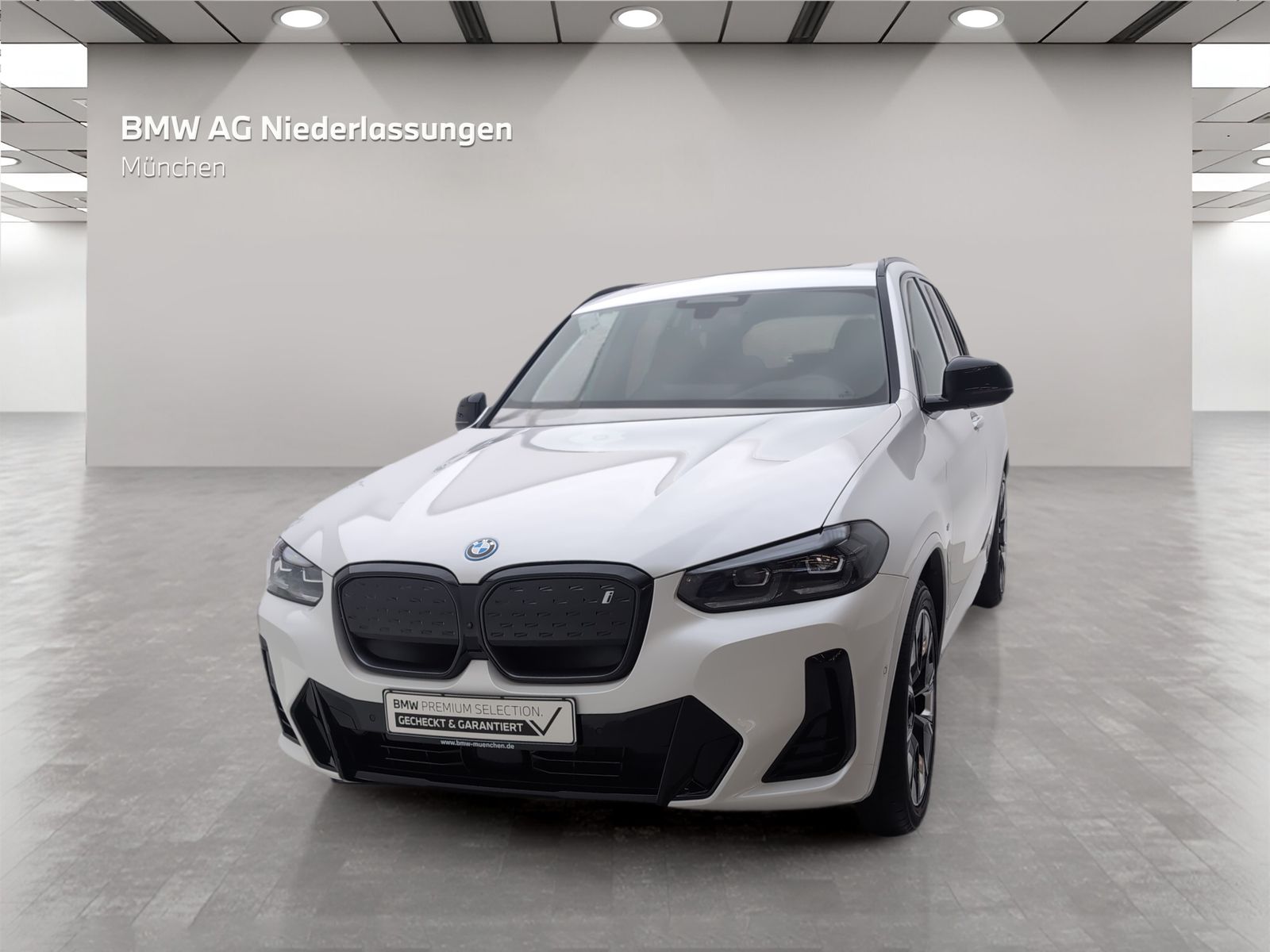 BMW iX3 M Sport Driv.Assist.Prof Harman K Head-Up foto 3