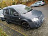 Volkswagen VW Caddy 2.0 TDI 140 PS Navi Klima 6 Gang - Volkswagen Caddy: 140 Ps