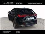 Lexus NX 450 h+ E-Four Executive 15 Jahre Lexus Relax  - schwarze Lexus NX 450h