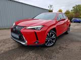 Lexus UX 250h Luxury Line HUD/ESD/Leder - Lexus UX mit Schiebedach