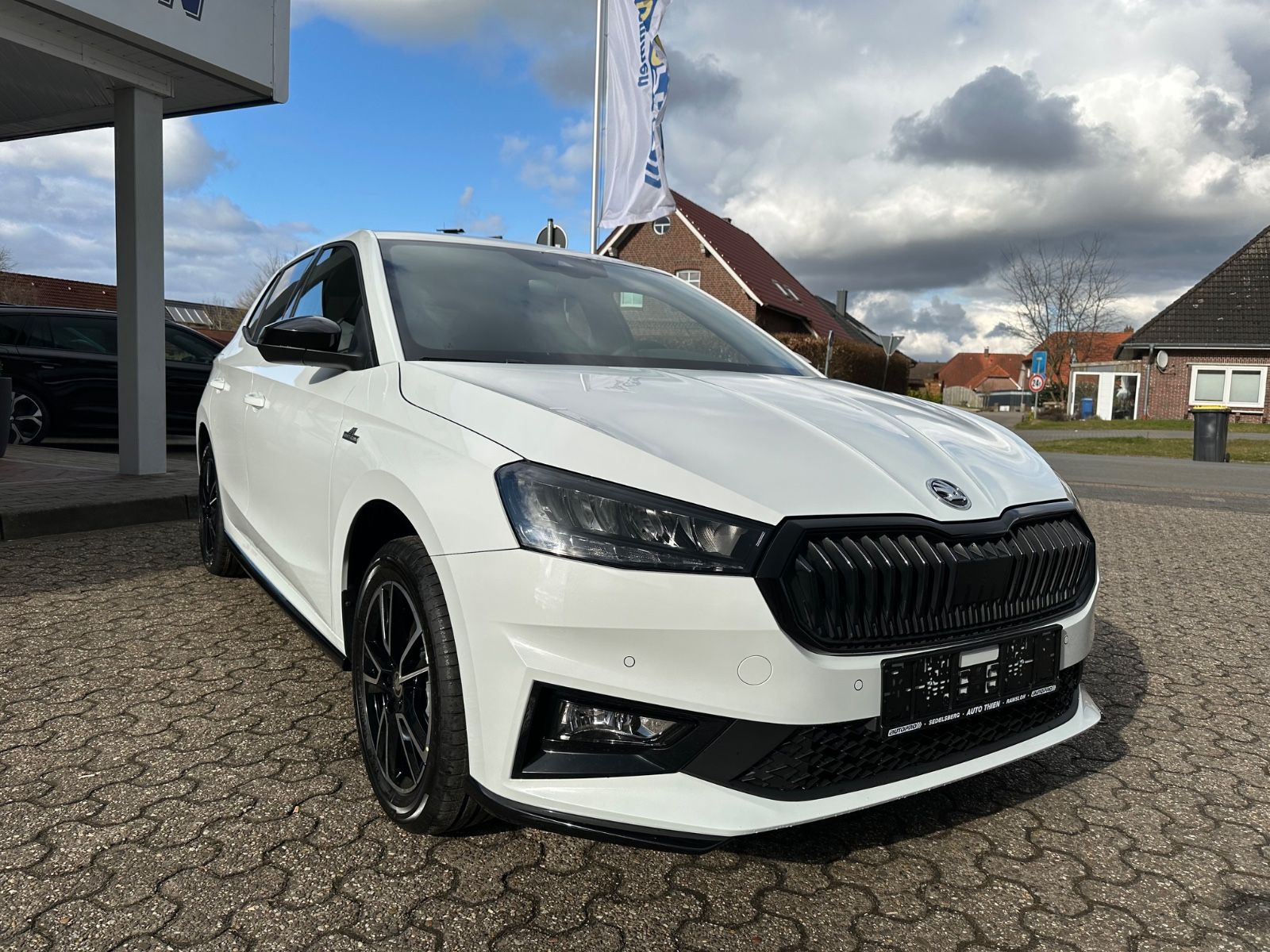 Fahrzeugabbildung SKODA Fabia Monte Carlo 1.0 TSI GRA/SZHZG/Einparkh/16"
