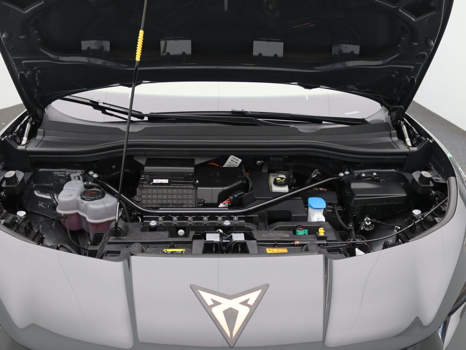 Cupra Tavascan - Bild 18