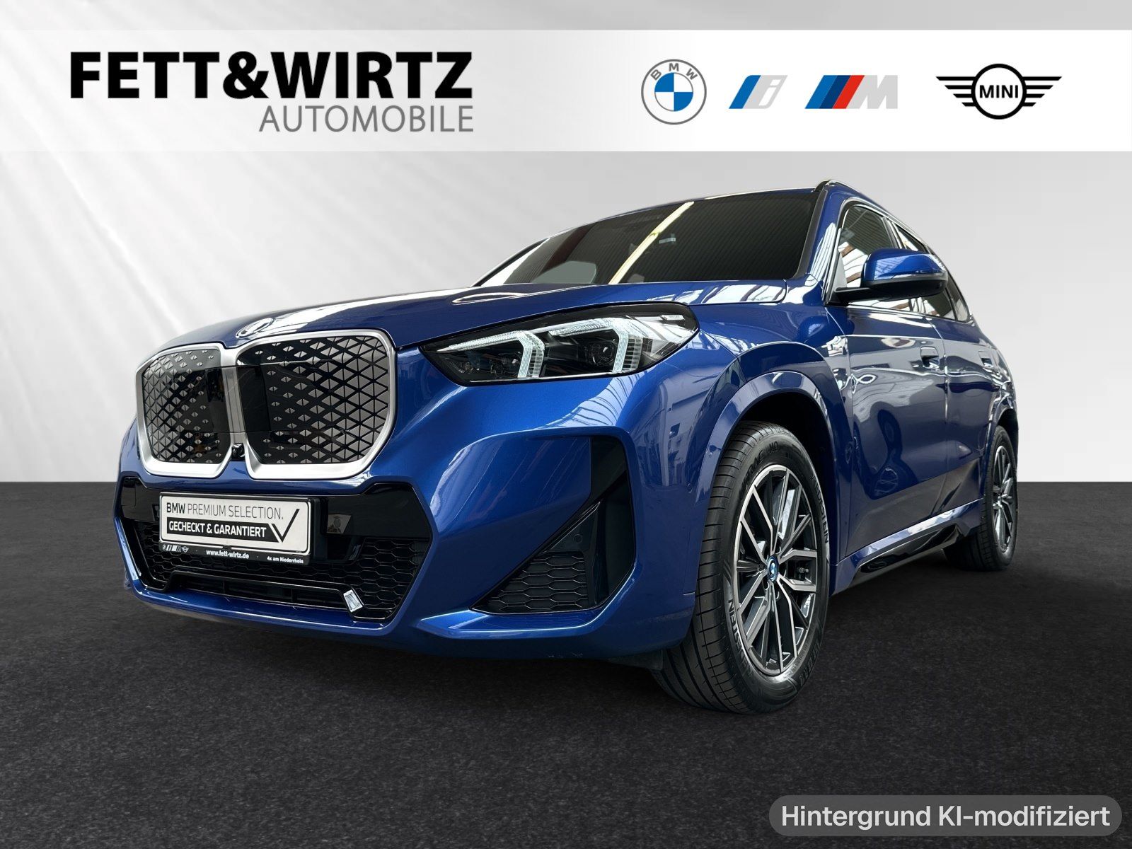 BMW iX1 xDrive30 M Sport HUD DA-Prof. Harman Kardon foto 1