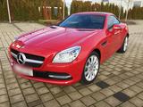 Mercedes-Benz Mercedes SLK 250cdi Roadster rot Panoramadach - Mercedes-Benz SLK 250: Cdi