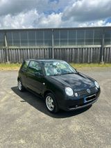 Volkswagen Lupo College 6X  1.0 mpi schwar... - Volkswagen Lupo: 1.6