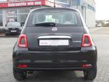 Fiat 500 1.0 M-Hybrid Longe Edition - Fiat 500: Edition